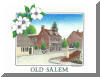 Old Salem, Winston Salem, NC; pen & ink drawing by Lee James Pantas