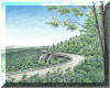 Blue Ridge Parkway; pen & ink drawing by Lee James Pantas