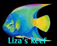 Liza's Reef -Art & Environmental Defense website of Lee James Pantas