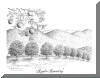 Apple Country,  pen & ink drawing by Lee James Pantas