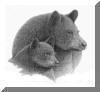 Black Bear and cub, pen & ink drawing by Lee James Pantas