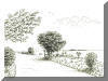 Windsurfing at Greenwich Point,  pen & ink drawing by Lee James Pantas